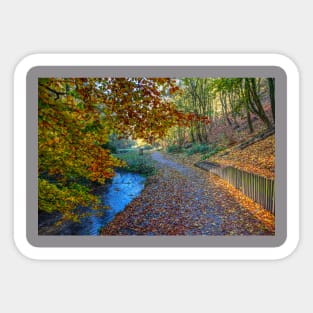 Hubbards Hills, Louth, Lincolnshire, Autumn Leaves Sticker